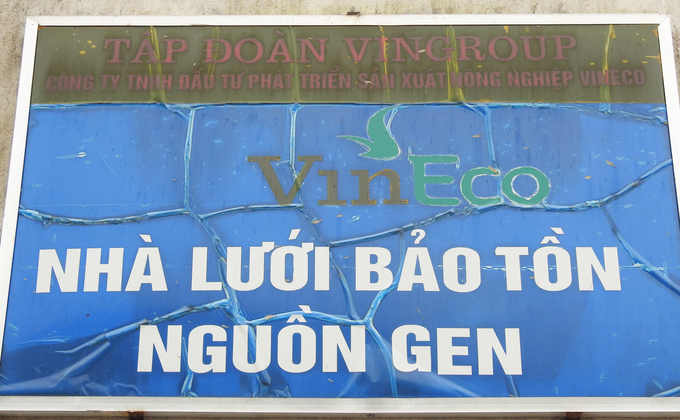 Tập đoàn Vingroup từng hỗ trợ Trại giống Truông Bát hơn 3 tỷ đồng xây dựng hạ tầng, công nghệ bảo tồn nguồn gen và sản xuất giống cây ăn quả. Ảnh: Thanh Nga.