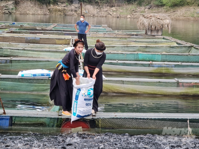 Thế mạnh về nuôi trồng thủy sản trên vùng lòng hồ thủy điện Tuyên Quang được phát huy tốt hơn thông qua chương trình đào tạo nghề tại huyện Lâm Bình. Ảnh: Đào Thanh.