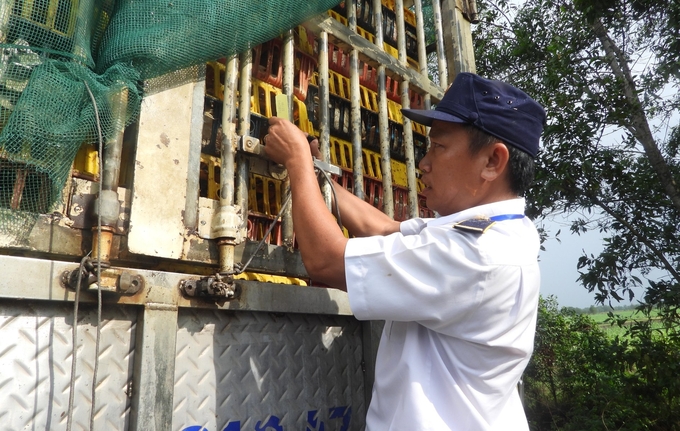 Công tác thanh kiểm tra, hậu kiểm vận chuyển gia cầm được ngành thú y tỉnh Tây Ninh quan tâm góp phần thành công xây dựng vùng ATDB. Ảnh: Trần Trung.