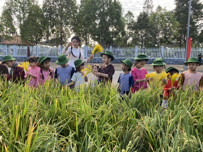 Trẻ em Vị Thanh hào hứng tìm hiểu về cây lúa.