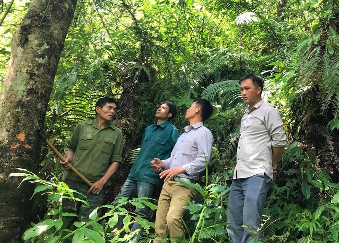 Việc người dân cùng tham gia tuần tra giúp bảo vệ rừng ở huyện Tam Đường (Lai Châu). Ảnh: T.L.