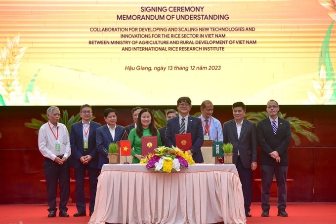 Department of Science, Technology and Environment (MARD) signed a Memorandum of Understanding (MoU) on collaboration for developing and scaling new technologies and innovations for the rice sector in Vietnam. Photo: Tung Dinh.