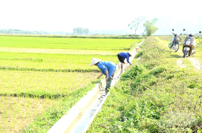 Hệ thống kênh mương nội đồng được kiên cố đảm bảo tưới chắc cho hơn 85% diện tích các xứ đồng ở Tuyên Quang. Ảnh: Đào Thanh.