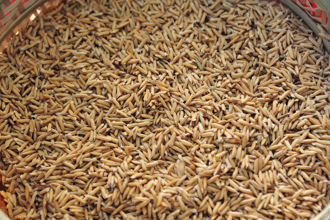 ĐBSCL là một trong các vùng sản xuất lúa gạo chính của Việt Nam. Sản lượng lúa sản xuất tại vùng những năm gần đây luôn ổn định ở mức 24 -25 triệu tấn, chiếm trên 50% sản lượng lúa sản xuất và trên 90% sản lượng gạo xuất khẩu của cả nước, tạo việc làm và thu nhập cho hàng triệu hộ sản xuất nông nghiệp trong vùng. 