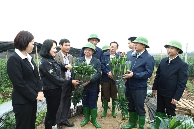 Cán bộ huyện xuống thăm mô hình hoa ly của ông Lê Văn Ngà, thôn Yên Bài, ở xã Tự Lập. Ảnh: Đinh Đang.