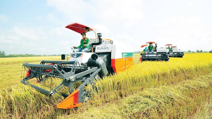 Chính phủ vừa phê duyệt đề án 1 triệu ha lúa chất lượng cao, giảm phát thảo tại ĐBSCL đến năm 2030. 