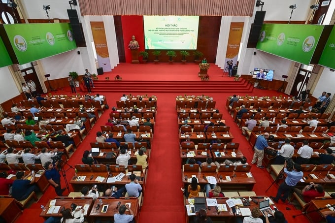 Vietnam - Africa Policy Dialogue Workshop: South-South Cooperation (SSC) to support food system transformation' on the afternoon of December 12 in Hau Giang.