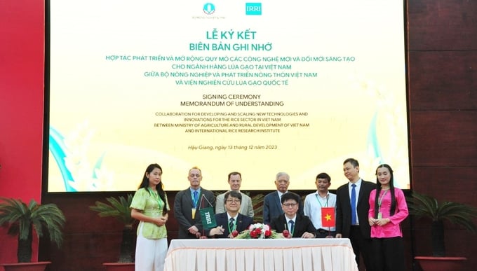 The signing ceremony of the Memorandum of Understanding between the Ministry of Agriculture and Rural Development and IRRI. Photo: Le Hoang Vu.