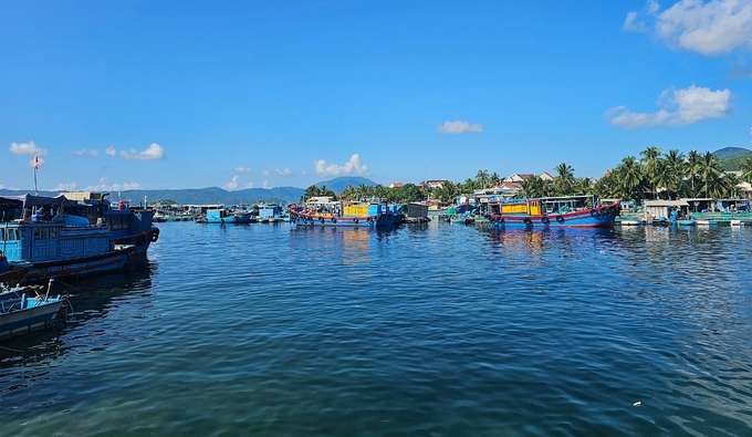 Đứng trên bờ thôn Đầm Môn nhìn ra biển đã thấy lồng bè nuôi trồng thủy sản. Ảnh: KS.