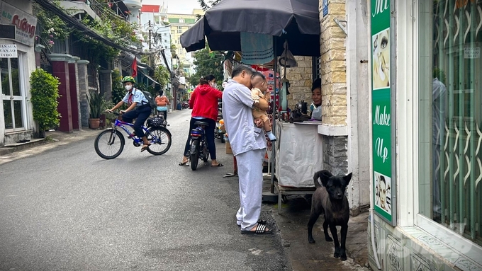 Chó thả rông, không rọ mõm tiềm ẩn nguy cơ về bệnh dại lây lan. Ảnh: Trần Phi.