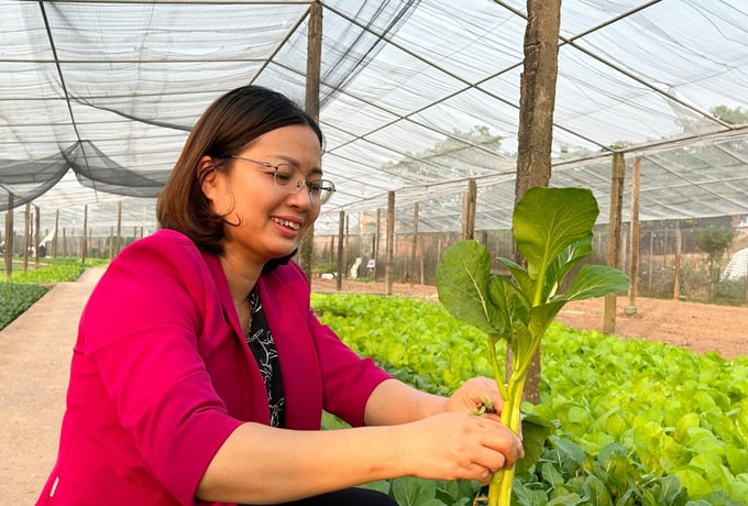 Bà Đặng Thị Thu Thủy, Trưởng Trạm Trồng trọt và Bảo vệ thực vật Hoài Đức kiểm tra cây rau tại khu canh tác HTX Tiền Lệ. Ảnh: Phương Thảo.
