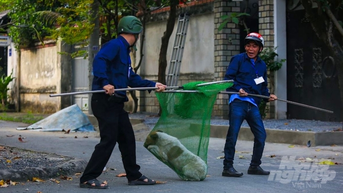 Đội bắt chó phường Hiệp Bình Chánh, TP.HCM tổ chức vây bắt chó thả rông. Ảnh: Trần Phi.