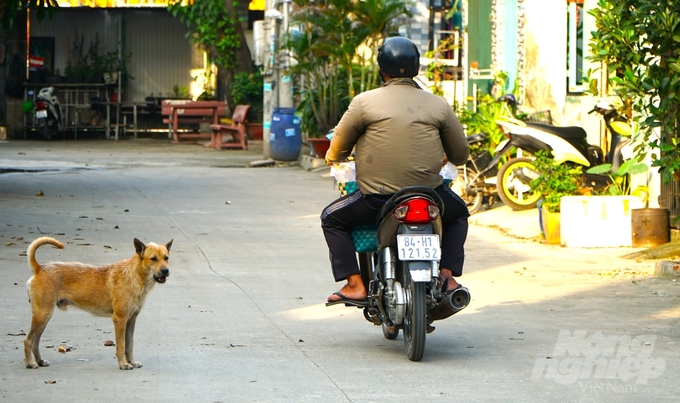 Nâng cao nhận thức của người dân là điều kiện tiên quyết trong công tác phòng chống bệnh dại. Ảnh: Trần Phi.