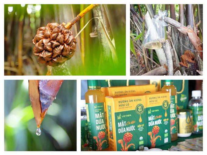 Từ mật dừa nước, Vietnipa đã tạo ra nhiều sản phẩm đạt chứng nhận hữu cơ, tốt cho sức khỏe người tiêu dùng. Ảnh: Nguyễn Thủy.