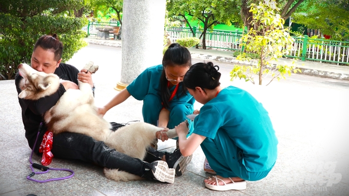 Người dân có thể đăng ký việc nuôi chó với UBND phường để chủ động phòng chống bệnh dại. Ảnh: Trần Phi.