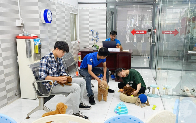 Các phòng khám, bệnh viện thú y đang góp phần không nhỏ vào công tác an toàn dịch bệnh cho đàn vật nuôi. Ảnh: Lê Bình.