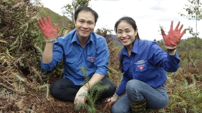 Đoàn viên Thanh niên của Bộ NN-PTNT hào hứng trồng cây tại Vườn quốc gia Hoàng Liên. Ảnh: Thảo Phương.