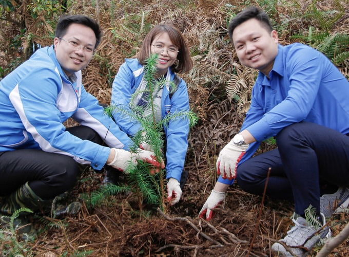 Đoàn Thanh niên Bộ NN-PTNT phát huy vai trò trách nhiệm trong việc trồng cây xanh, bảo vệ môi trường. Ảnh: Thảo Phương.