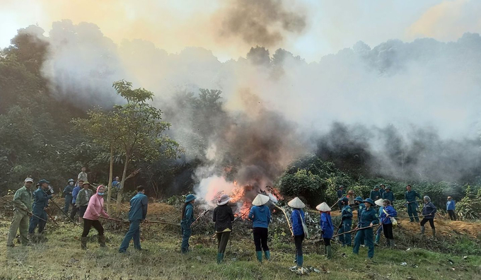 Diễn tập phòng chống cháy rừng tại xã Nậm Xe (huyện Phong Thổ, Lai Châu). Ảnh: T.L.