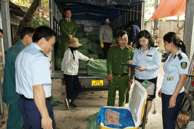 Hơn 10 tấn nầm lợn đông lạnh bốc mùi hôi thối được các lực lượng chức năng tỉnh Yên Bái thu giữ.