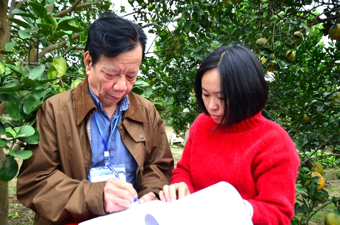 GS.TS Vũ Mạnh Hải trong Ban giám khảo đang ghi thông số ngay tại vườn. Ảnh: Dương Đình Tường.