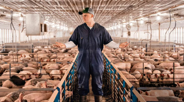 Sawyer Whisler stands in a hog barn on the family farm in southeast Iowa.