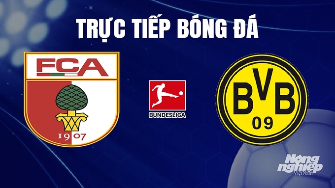 Trực tiếp bóng đá Bundesliga (VĐQG Đức) 2023/24 giữa Augsburg vs Dortmund hôm nay 16/12/2023
