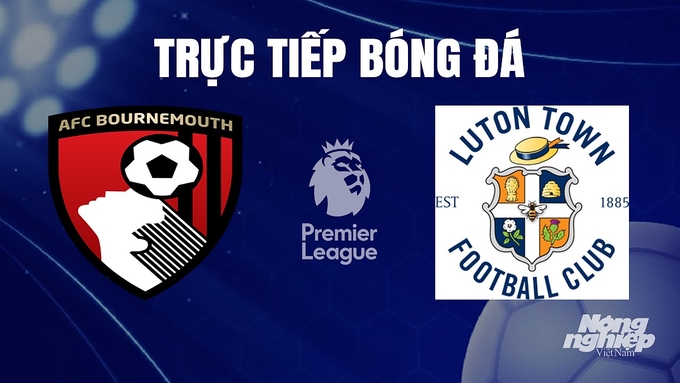 Trực tiếp bóng đá Ngoại hạng Anh giữa Bournemouth vs Luton Town hôm nay 16/12/2023