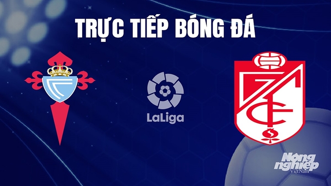 Trực tiếp bóng đá La Liga 2023/24 giữa Celta Vigo vs Granada hôm nay 16/12/2023