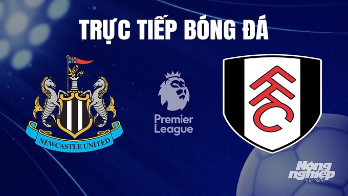 Trực tiếp bóng đá Ngoại hạng Anh giữa Newcastle United vs Fulham hôm nay 16/12/2023