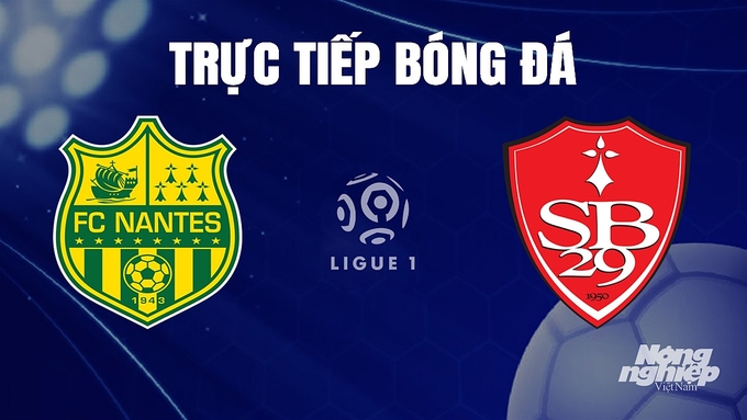 Trực tiếp bóng đá Ligue 1 (VĐQG Pháp) 2023/24 giữa Nantes vs Brest hôm nay 17/12/2023