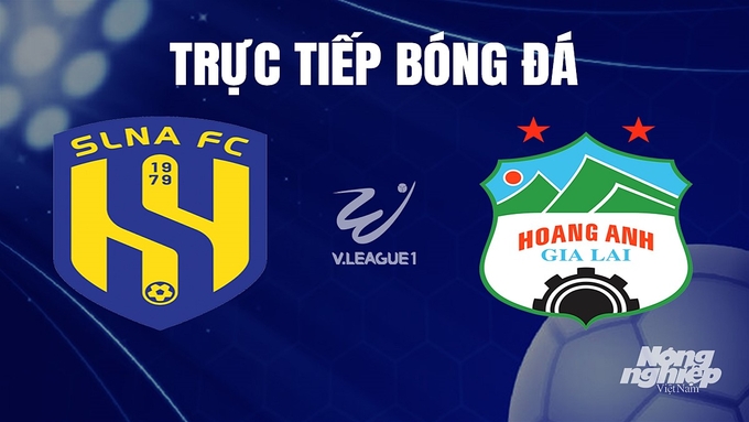 Trực tiếp bóng đá V-League 2023 giữa SLNA vs HAGL hôm nay 17/12/2023