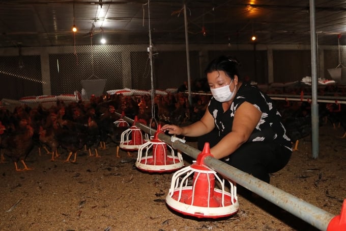 Mô hình chăn nuôi gà an toàn sinh học tại xã Vạn Linh, huyện Chi Lăng, Lạng Sơn. Ảnh: Nguyễn Thành.