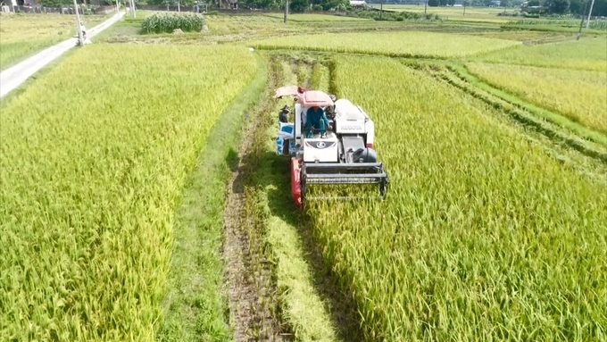 Nông dân Thái Nguyên đã đẩy mạnh ứng dụng công nghệ trong các khâu sản xuất, thu hoạch, sơ chế, chế biến, bảo quản nông sản. Ảnh: Phạm Hiếu.