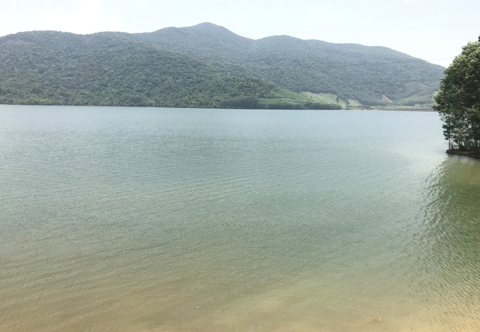 Hồ Thạch Khê ở huyện Hoài Ân (Bình Định) hiện đã tích được gần 6,5 triệu/7,38 triệu m3 nước. Ảnh: V.Đ.T.
