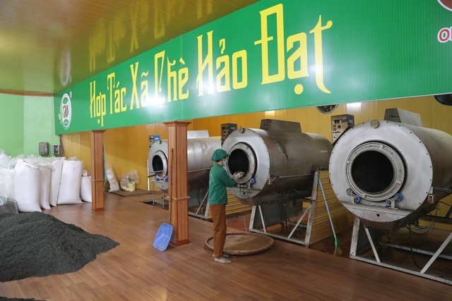 HTX Chè Hảo Đạt (xã Tân Cương, TP Thái Nguyên) đã đầu tư nhiều thiết bị máy móc, ứng dụng công nghệ hiện đại để chế biến chè như máy sao chè bằng gas, máy đóng gói hút chân không, vò chè lấy nhiệt bằng điện, củi… Ảnh: Phạm Hiếu.