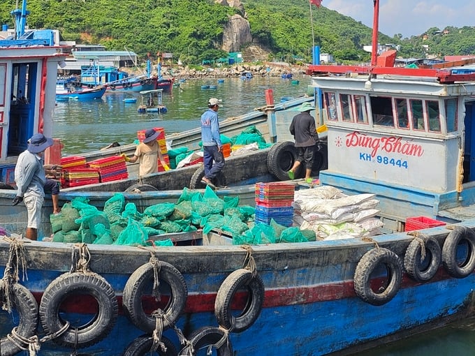 Tàu chở thức ăn cho tôm hùm nuôi ở đảo Bình Ba cũng hạn chế sử dụng túi ni lông. Ảnh: KS.