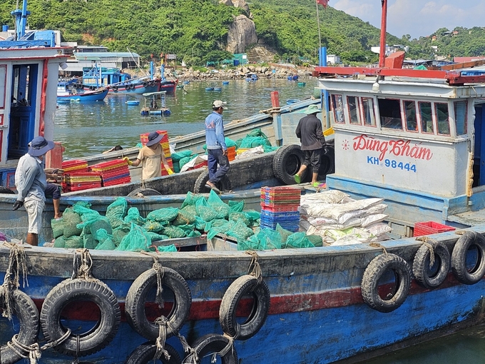 Tàu chở thức ăn cho tôm hùm nuôi ở đảo Bình Ba cũng hạn chế sử dụng túi ni lông. Ảnh: KS.