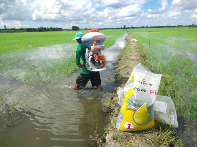 Hiện nay, Việt Nam nhập khẩu tương đối nhiều phân bón từ nước ngoài. Ảnh: Phan Hoàng Nam.