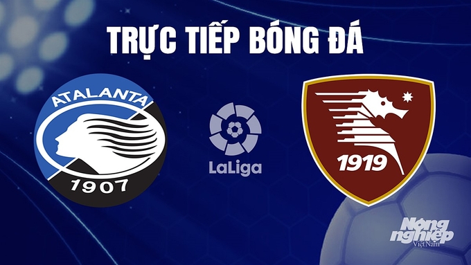 Trực tiếp bóng đá Serie A 2023/24 giữa Atalanta vs Salernitana hôm nay 19/12/2023