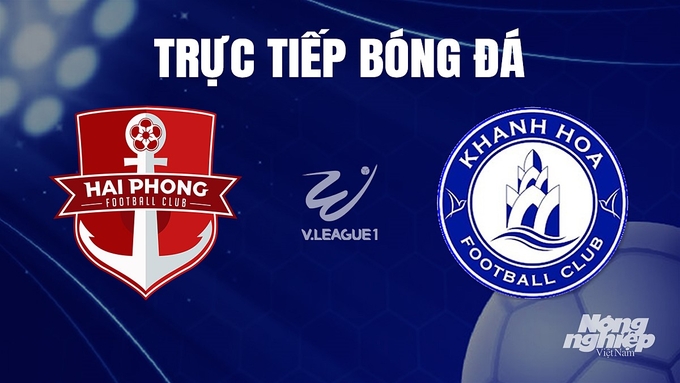 Trực tiếp bóng đá V-League 2023 giữa Hải Phòng vs Khánh Hòa hôm nay 18/12/2023