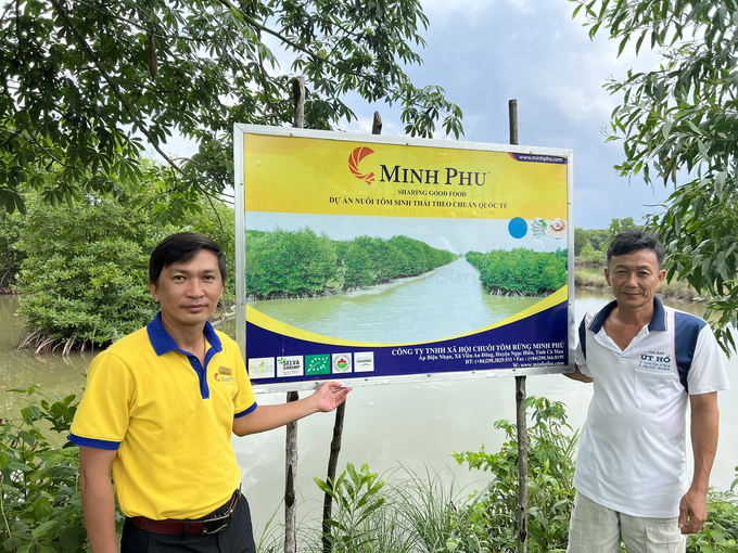 Dự án nuôi tôm sinh thái của Công ty Minh Phú tại xã An Viên Đông. Ảnh: Trọng Linh.