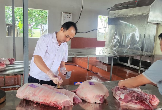 Sản phẩm thịt lợn của HTX Minh Lợi được cơ quan chuyên ngành đóng dấu kiểm dịch trước khi tiêu thụ. Ảnh: Việt Khánh.