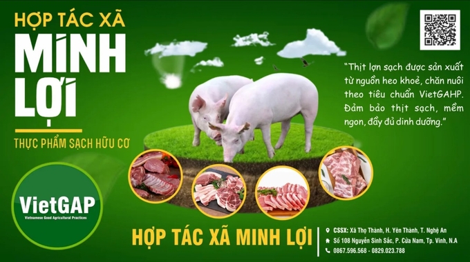 Mô hình nuôi lợn bằng thức ăn thảo dược của HTX Minh Lợi được người tiêu dùng đánh giá cao. Ảnh: Việt Khánh.