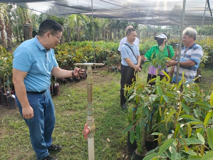 Diện tích đất sản xuất nông nghiệp được tưới và tiêu nước chủ động ở huyện Chợ Lách là 10.890 ha (đạt trên 92%). Ảnh: Kiều Nhi.