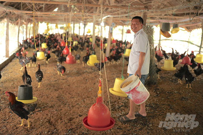 Tô Quốc Tú, một trong những người được coi là nuôi gà giỏi nhất ở Chơn Thành. Ảnh: Hồng Thủy.