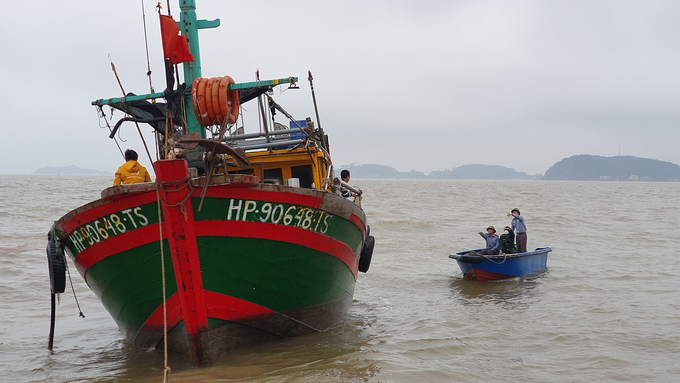 Lực lượng kiểm ngư Hải Phòng phối hợp với Bộ đội Biên phòng kiểm tra 1 tàu cá ở Đồ Sơn. Ảnh: Đinh Mười.