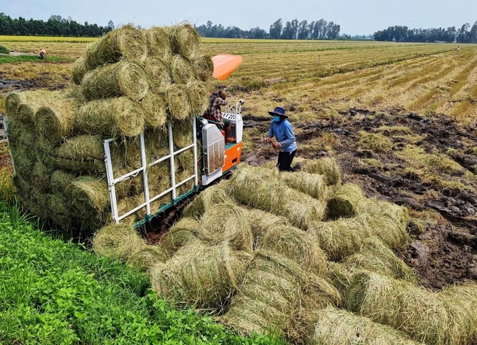 Việt Nam có tiềm năng phân bón hữu cơ lớn từ nguồn phế phụ phẩm nông nghiệp. Ảnh: TL.