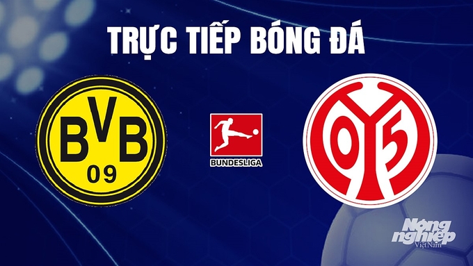 Trực tiếp bóng đá Bundesliga 2023/24 giữa Dortmund vs Mainz 05 hôm nay 20/12/2023