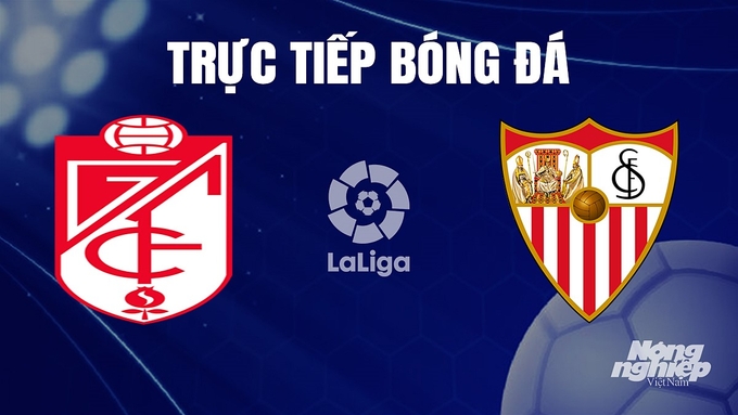 Trực tiếp bóng đá La Liga 2023/24 giữa Granada vs Sevilla hôm nay 20/12/2023